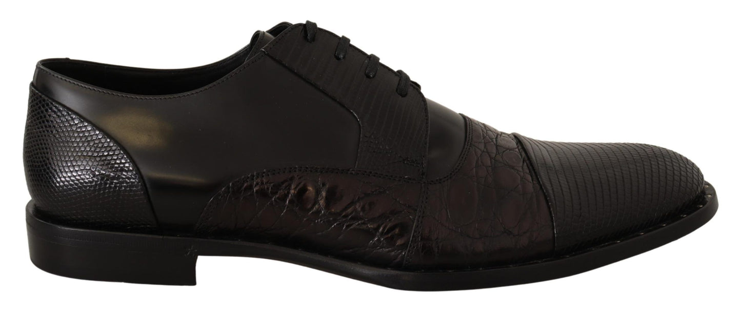 Dolce & Gabbana Elegant Black Derby Oxford Wingtips